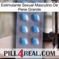 Big Penis Male Sexual Stimulant viagra3